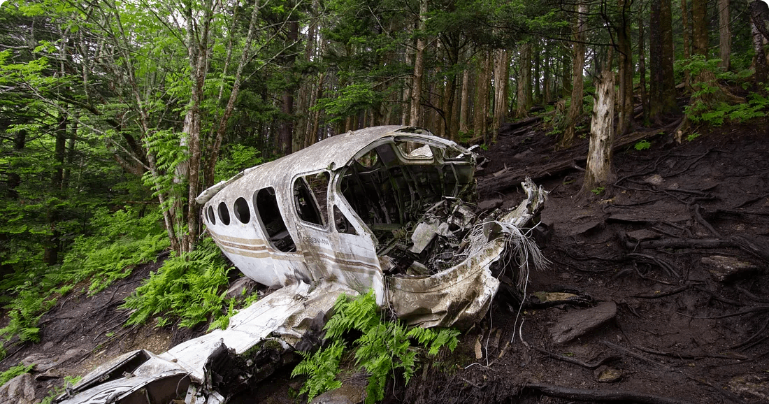 Doow blog cover for Running out of runway: A CEO/CFO's worst crashing nightmare.